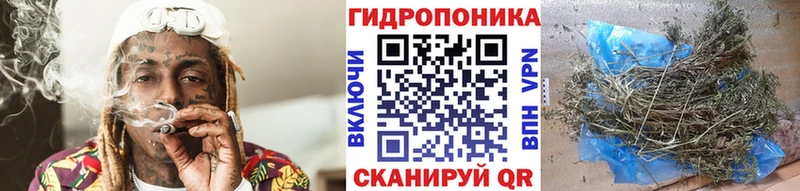 МЕФ Гурьевск