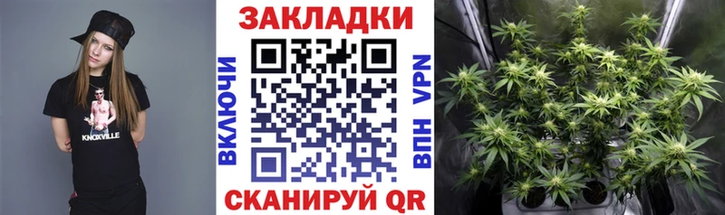 Виды наркотиков купить Гурьевск Гашиш Бошки Шишки Меф