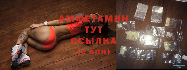 стаф Аркадак