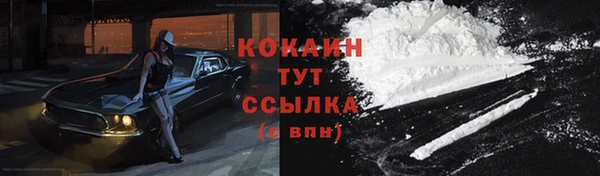 ГАЛЛЮЦИНОГЕННЫЕ ГРИБЫ Балахна